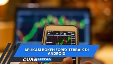 Aplikasi Bokeh Forex Terbaik Di Android