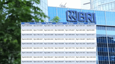 Pinjam Rp50 Juta Cair Lebih Cepat: Cara Ajukan KUR BRI 2025 Secara Efektif